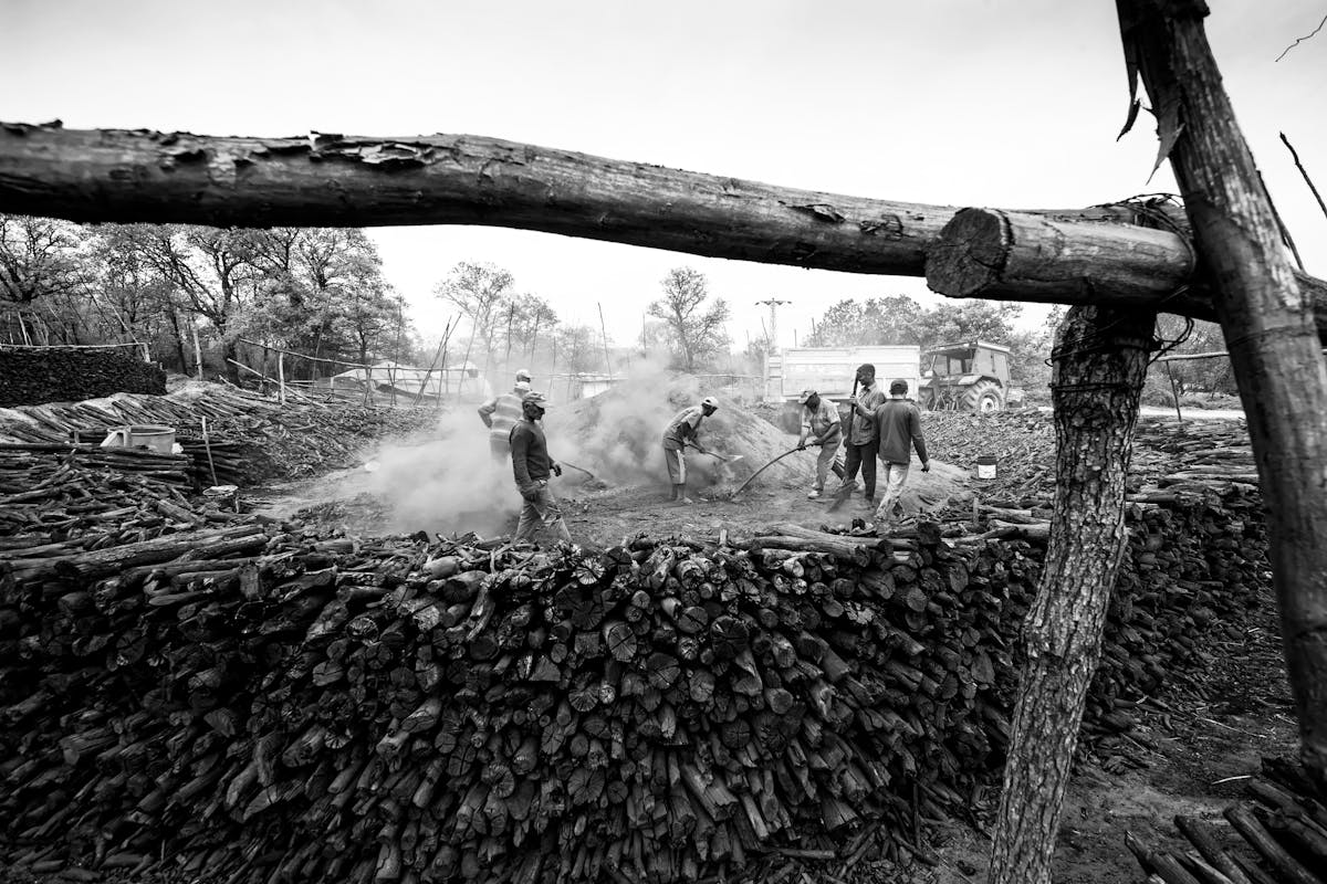 Historic forestry operation