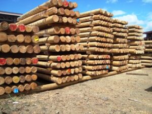 Pine posts