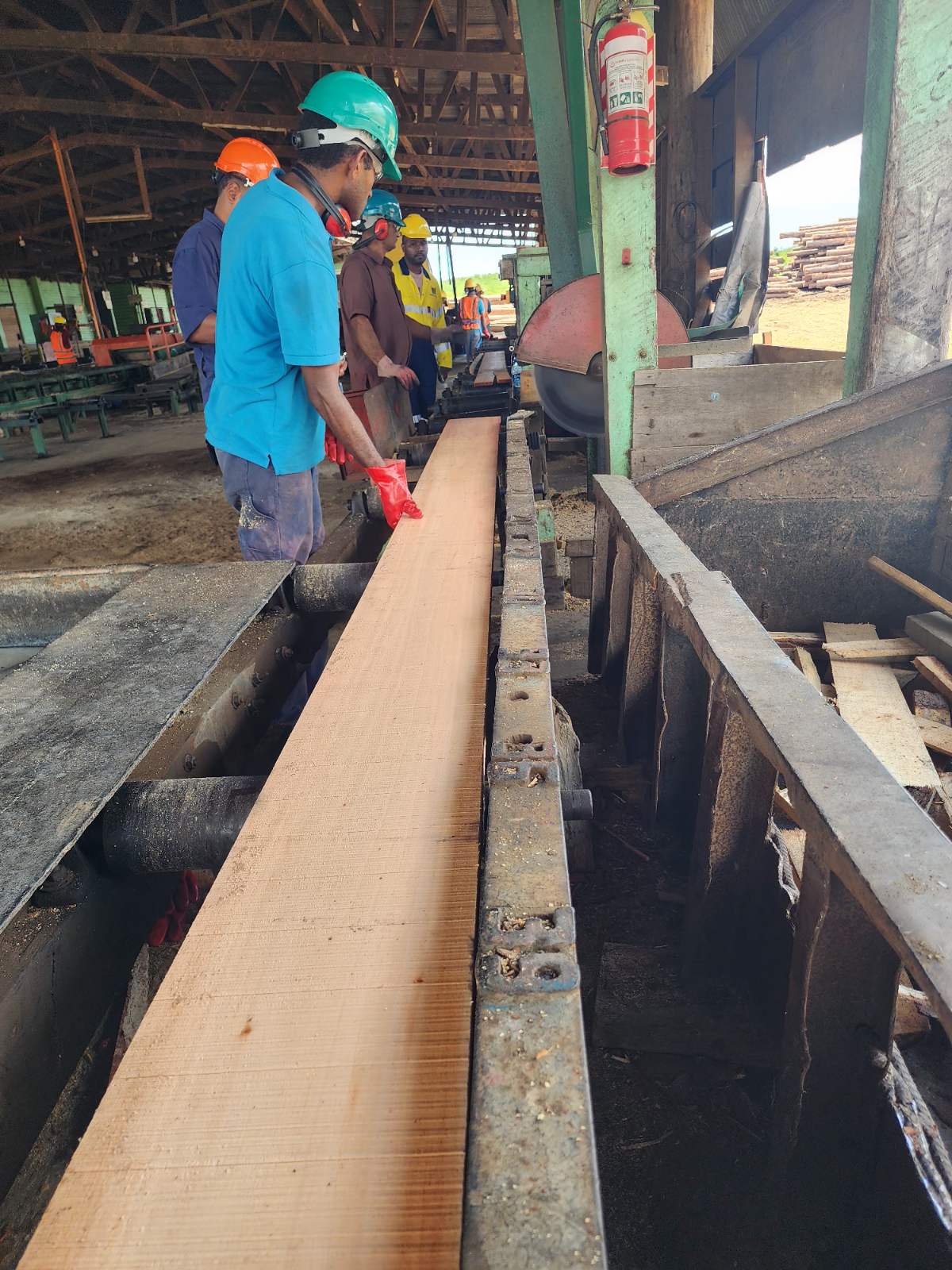 Timber treatment process